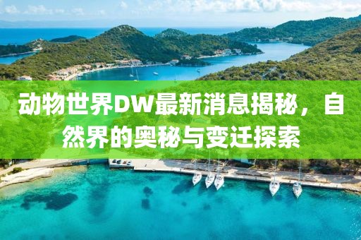 谏芬 第5页