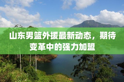 山东男篮外援最新动态，期待变革中的强力加盟