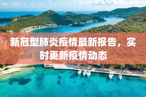 新冠型肺炎疫情最新报告，实时更新疫情动态