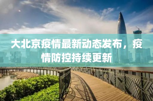 大北京疫情最新动态发布，疫情防控持续更新