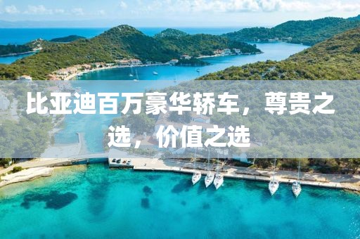 比亚迪百万豪华轿车，尊贵之选，价值之选
