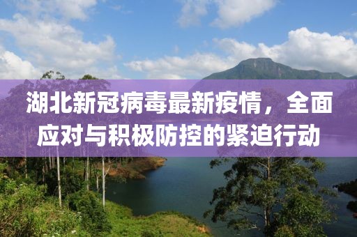 湖北新冠病毒最新疫情，全面应对与积极防控的紧迫行动
