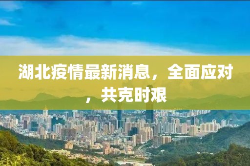 湖北疫情最新消息，全面应对，共克时艰
