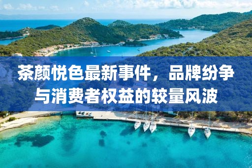 茶颜悦色最新事件，品牌纷争与消费者权益的较量风波