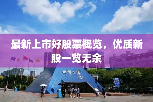 最新上市好股票概览，优质新股一览无余