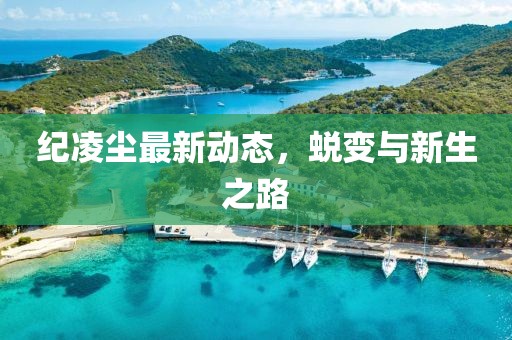 纪凌尘最新动态，蜕变与新生之路