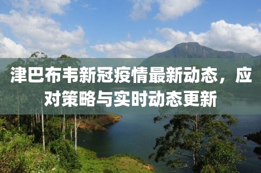 津巴布韦新冠疫情最新动态，应对策略与实时动态更新