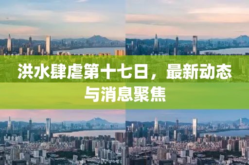 洪水肆虐第十七日，最新动态与消息聚焦