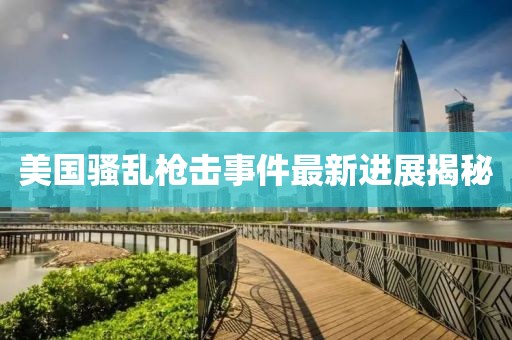 美国骚乱枪击事件最新进展揭秘