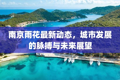 南京雨花最新动态，城市发展的脉搏与未来展望