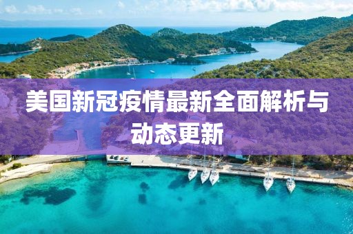 美国新冠疫情最新全面解析与动态更新
