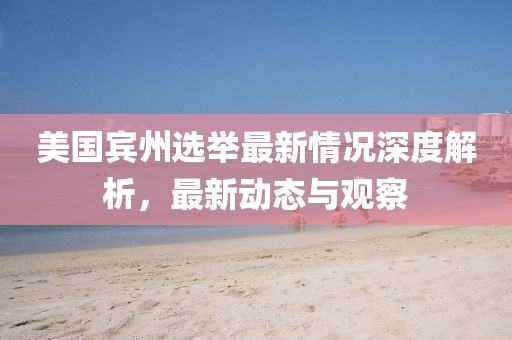 美国宾州选举最新情况深度解析，最新动态与观察