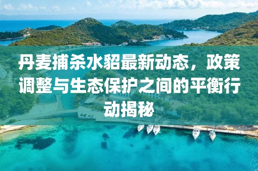 丹麦捕杀水貂最新动态，政策调整与生态保护之间的平衡行动揭秘