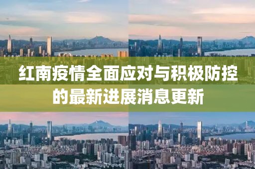 红南疫情全面应对与积极防控的最新进展消息更新