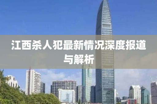 江西杀人犯最新情况深度报道与解析
