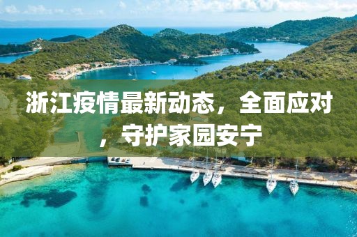 浙江疫情最新动态，全面应对，守护家园安宁