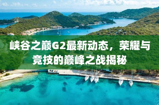 峡谷之巅G2最新动态，荣耀与竞技的巅峰之战揭秘