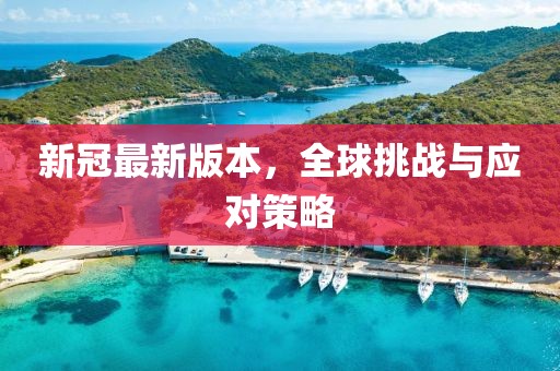 新冠最新版本，全球挑战与应对策略