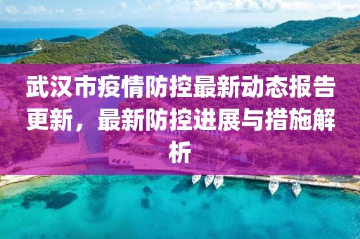 武汉市疫情防控最新动态报告更新，最新防控进展与措施解析