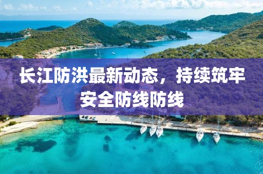 长江防洪最新动态，持续筑牢安全防线防线