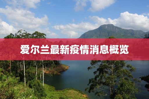 爱尔兰最新疫情消息概览