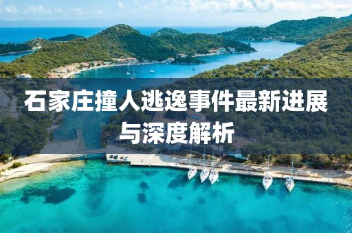 石家庄撞人逃逸事件最新进展与深度解析