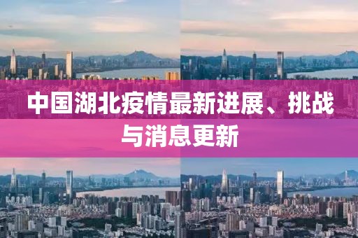 中国湖北疫情最新进展、挑战与消息更新