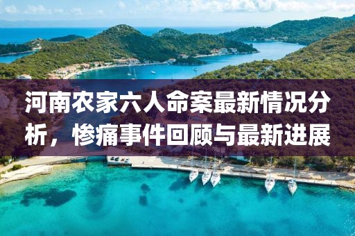 河南农家六人命案最新情况分析，惨痛事件回顾与最新进展