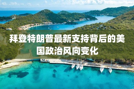 拜登特朗普最新支持背后的美国政治风向变化