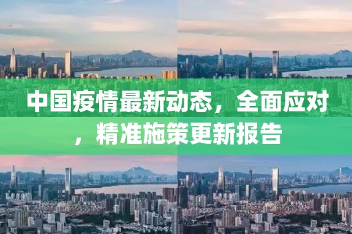 中国疫情最新动态，全面应对，精准施策更新报告