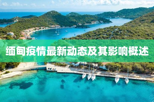 羊林楠 第4页