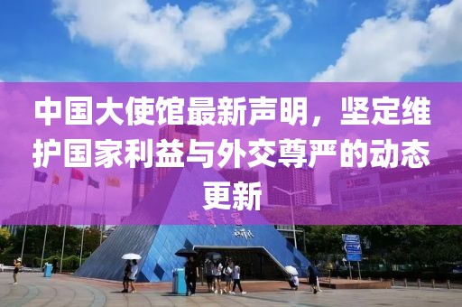 中国大使馆最新声明，坚定维护国家利益与外交尊严的动态更新