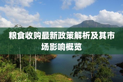 粮食收购最新政策解析及其市场影响概览