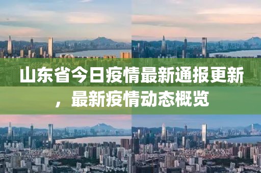 山东省今日疫情最新通报更新，最新疫情动态概览