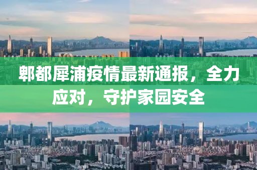 郫都犀浦疫情最新通报，全力应对，守护家园安全