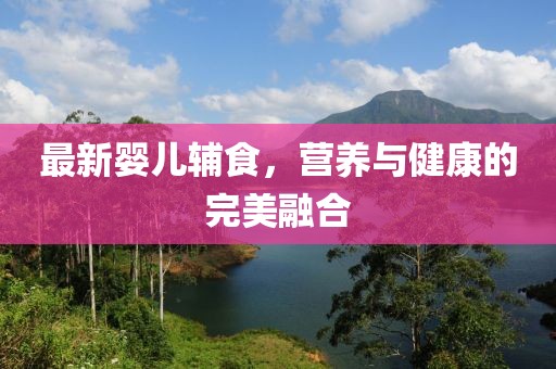 最新婴儿辅食，营养与健康的完美融合