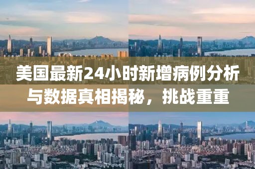 美国最新24小时新增病例分析与数据真相揭秘，挑战重重
