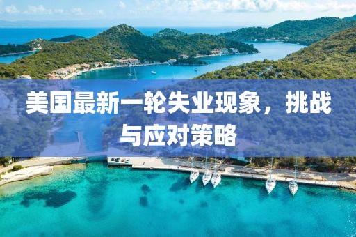 美国最新一轮失业现象，挑战与应对策略