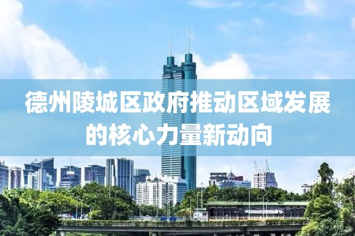 德州陵城区政府推动区域发展的核心力量新动向