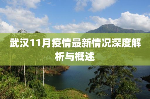 武汉11月疫情最新情况深度解析与概述