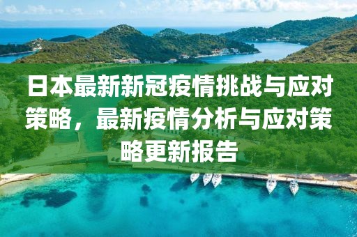 日本最新新冠疫情挑战与应对策略，最新疫情分析与应对策略更新报告