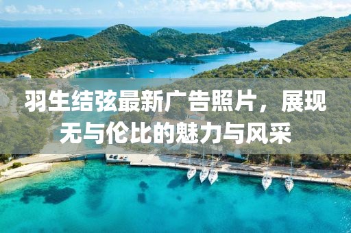 羽生结弦最新广告照片，展现无与伦比的魅力与风采