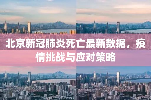北京新冠肺炎死亡最新数据，疫情挑战与应对策略