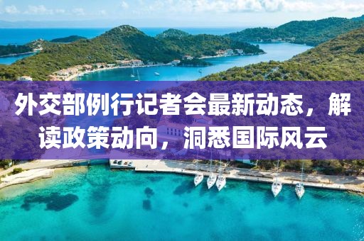 外交部例行记者会最新动态，解读政策动向，洞悉国际风云