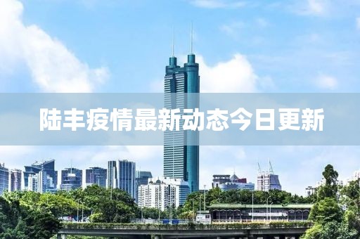 陆丰疫情最新动态今日更新