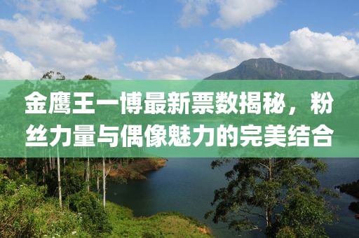 金鹰王一博最新票数揭秘，粉丝力量与偶像魅力的完美结合