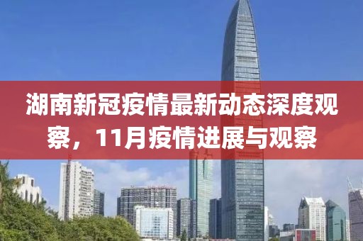 湖南新冠疫情最新动态深度观察，11月疫情进展与观察