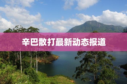 辛巴散打最新动态报道