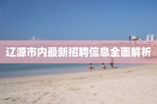 辽源市内最新招聘信息全面解析