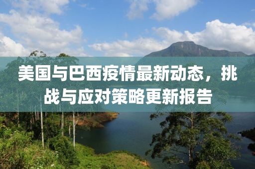 美国与巴西疫情最新动态，挑战与应对策略更新报告